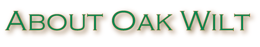 About Oak Wil