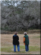 Working with a clien